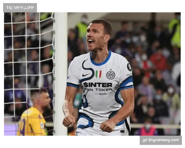 -意甲联盟推动球场安全改革，球迷身份识别系统或借鉴北美经验-