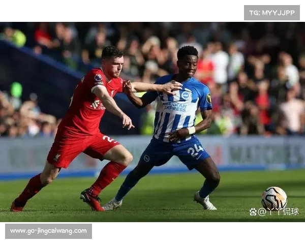 布莱顿1-1桑德兰， Seagulls主场难破密集防守